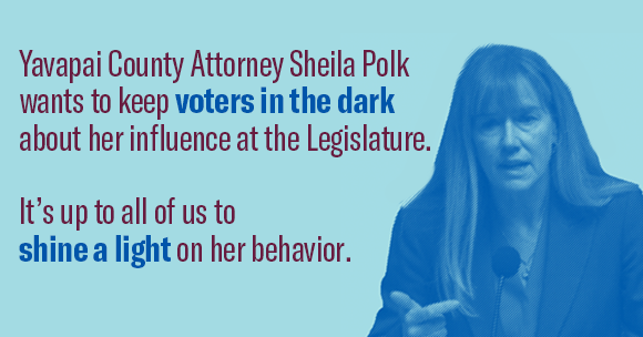 sheila polk wants to keep voters in the dark 